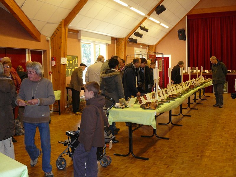 2009 10 Expo champignons de Clairefontaine 11